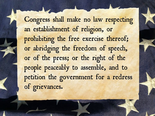 US Constitution clipping
